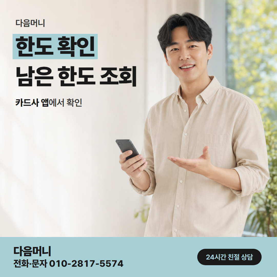 다음머니 포천카드깡 본인이 직접 조회하는 카드 한도